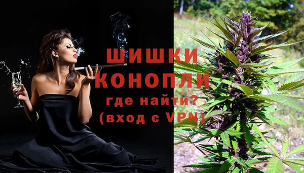 ALPHA PVP Гусев