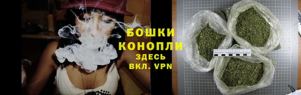 ALPHA PVP Гусев
